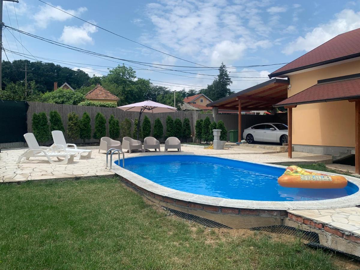 Mika'S Poolhouse Villa Beograd Ngoại thất bức ảnh